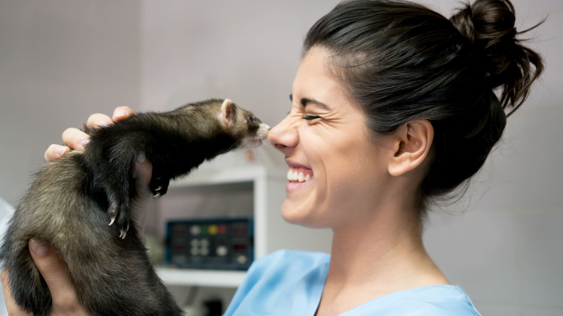 Les nouveaux animaux de compagnie (NAC) ont ils droit à un passeport santé ?