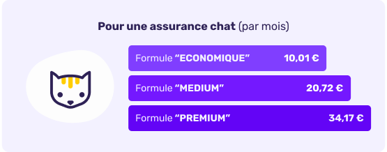 Prix moyen de l'assurance chat en août 2025