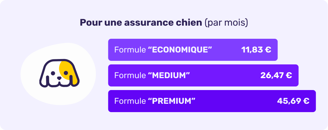 Prix moyen de l'assurance chien en août 2026