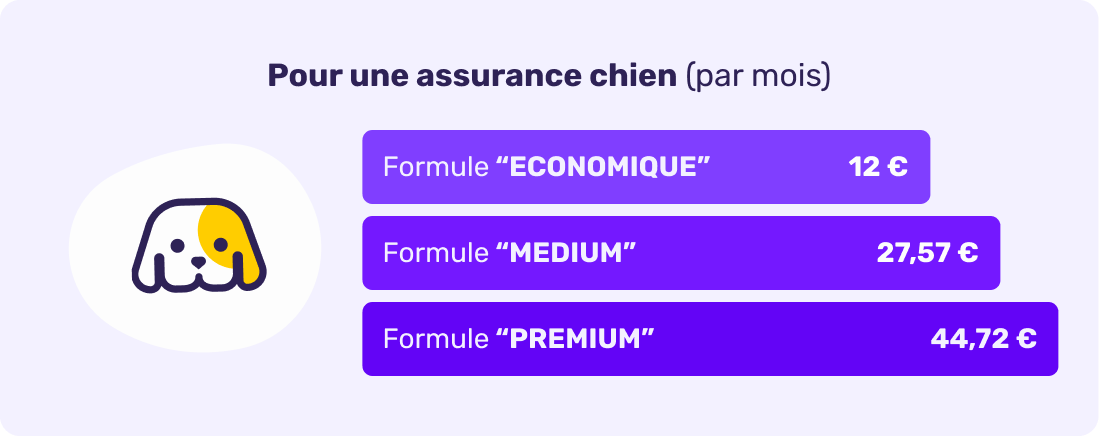 Prix moyen de l'assurance chien en avril 2026