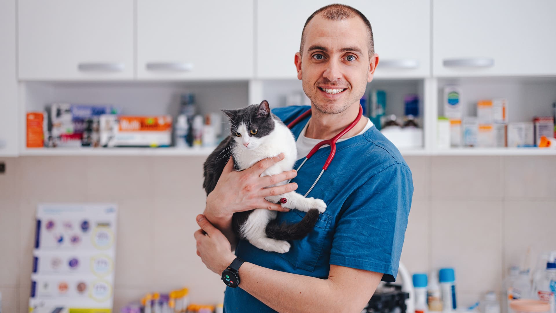 prix d'assurance pour chat