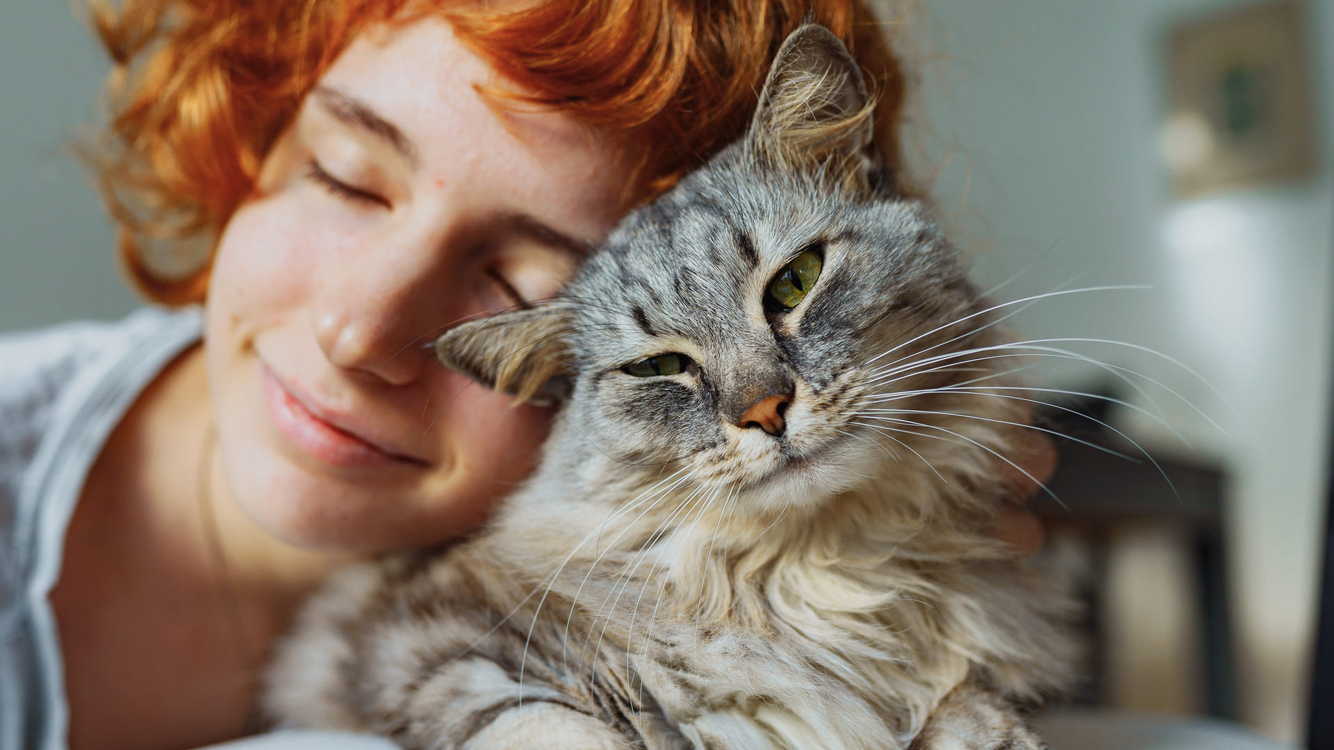 Quelle assurance choisir selon le profil de votre chat