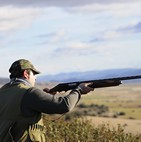 Assurance chasse