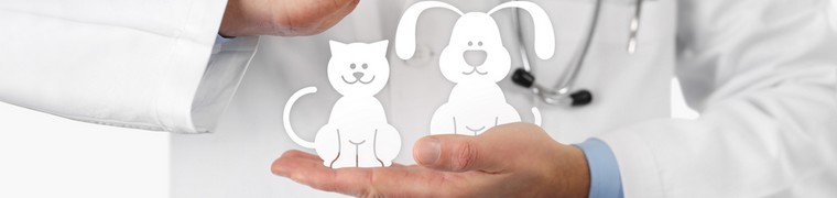 Le CHU Vétérinaire des Animaux de Compagnie se développe davantage