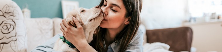 Les dépenses consacrées aux animaux de compagnie augmentent