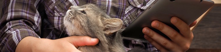 étude proximité animal de compagnie maître