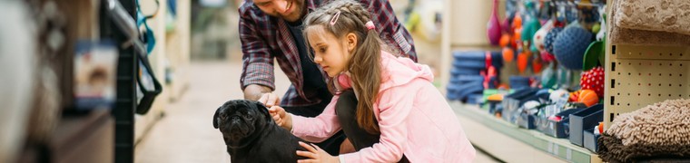 Le marché des animaux de compagnie : victime de son succès