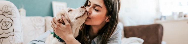La puce électronique d’identification pour animaux se démocratise